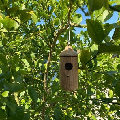 SEREINEX® Wooden Hummingbird House (Set 3 Pcs)