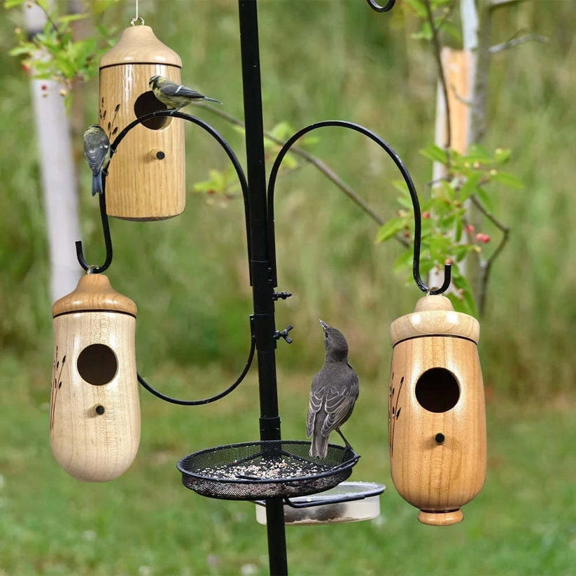 SEREINEX® Wooden Hummingbird House (Set 3 Pcs)